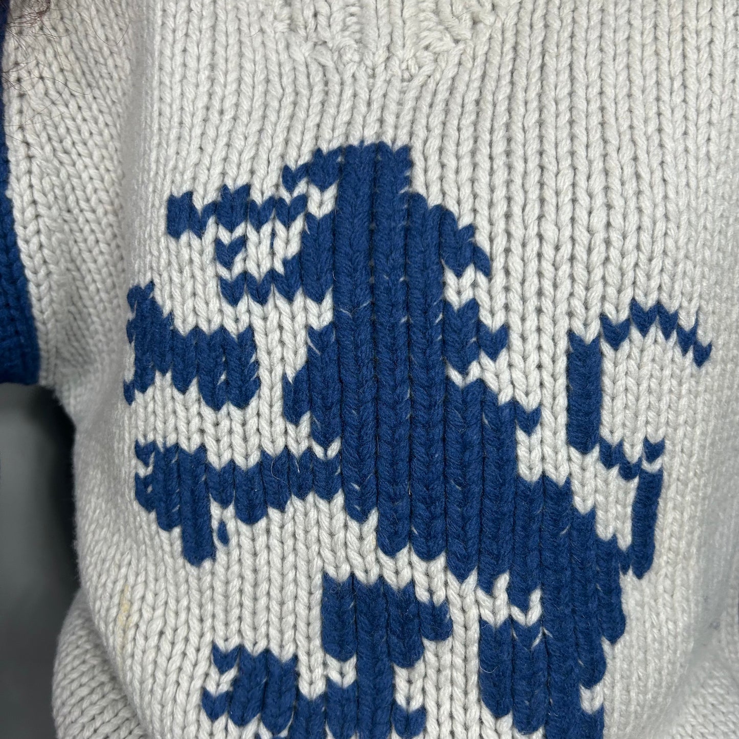 Dragon sweater